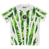 Officiële Voetbalshirt Nigeria Uit 2025-26 - Heren